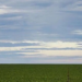 Com a queda de 80% das exportações norte-americanas de soja, o Brasil se consolida como principal fornecedor da China, fortalecendo a balança comercial e a agricultura nacional.