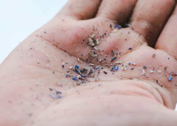 Microplásticos já foram encontrados no sangue, cérebro e intestinos, e cientistas investigam seus efeitos na saúde.