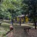 Parque Atalaia, em Macaé, será reaberto com atividades educativas e programação voltada à natureza.