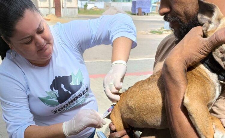 São João da Barra realiza Dia D de Vacinação Antirrábica neste sábado (4), com 13 pontos de atendimento para cães e gatos em todos os distritos. Campanha já imunizou mais de 2,3 mil animais.