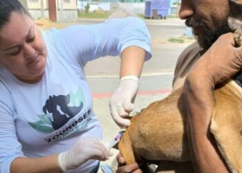 São João da Barra realiza Dia D de Vacinação Antirrábica neste sábado (4), com 13 pontos de atendimento para cães e gatos em todos os distritos. Campanha já imunizou mais de 2,3 mil animais.