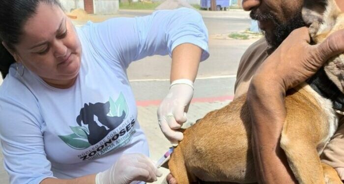 São João da Barra realiza Dia D de Vacinação Antirrábica neste sábado (4), com 13 pontos de atendimento para cães e gatos em todos os distritos. Campanha já imunizou mais de 2,3 mil animais.
