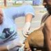 São João da Barra realiza Dia D de Vacinação Antirrábica neste sábado (4), com 13 pontos de atendimento para cães e gatos em todos os distritos. Campanha já imunizou mais de 2,3 mil animais.