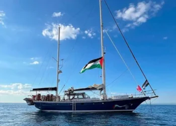 Israel deporta o brasileiro Nicolas Calabrese e nega violência contra Greta Thunberg; 13 ativistas do Brasil seguem presos e em greve de fome.