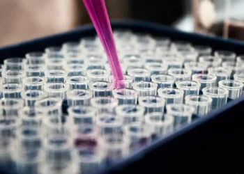 Pesquisadores brasileiros identificam proteína p-tau217 como marcador eficaz para diagnóstico precoce do Alzheimer por exame de sangue.