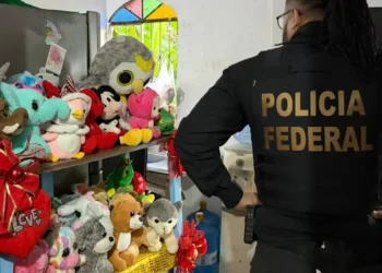 Operação nacional da PF contra abuso infantil prende quatro homens no Rio de Janeiro; mandados foram cumpridos em 16 estados.