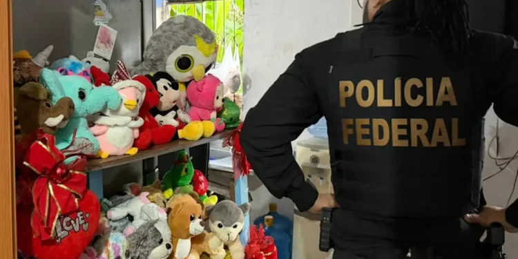 Operação nacional da PF contra abuso infantil prende quatro homens no Rio de Janeiro; mandados foram cumpridos em 16 estados.