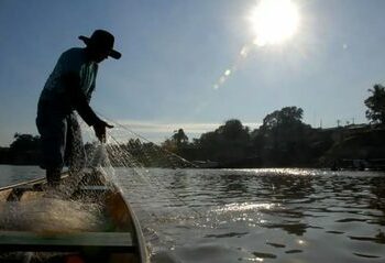 Ministério do Trabalho assume gestão do seguro-defeso e inicia recadastramento presencial de pescadores artesanais em Amazonas, Bahia, Maranhão, Pará e Piauí para evitar fraudes e garantir o benefício.