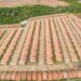 Lula entrega 2.837 casas do Minha Casa, Minha Vida em Imperatriz (MA). Investimento de R$ 358 milhões