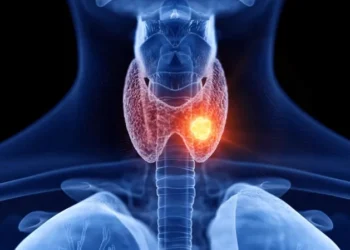 Estudo aponta que bloquear receptor da tireoide TRβ impede avanço do câncer de próstata.