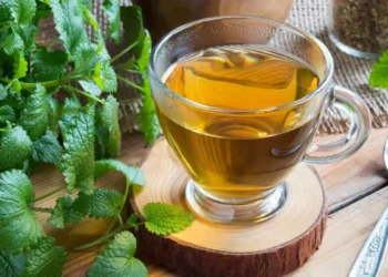 Chá de amora é aliado natural no equilíbrio hormonal e no controle da glicose. Entenda como preparar e os cuidados no consumo.