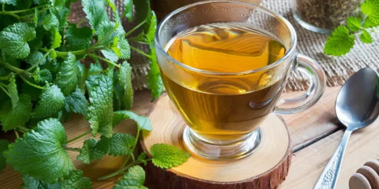Chá de amora é aliado natural no equilíbrio hormonal e no controle da glicose. Entenda como preparar e os cuidados no consumo.