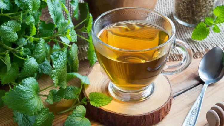 Chá de amora é aliado natural no equilíbrio hormonal e no controle da glicose. Entenda como preparar e os cuidados no consumo.