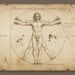 Cânone das Proporções: A Perfeição matemática do Homem Vitruviano e o legado de Da Vinci