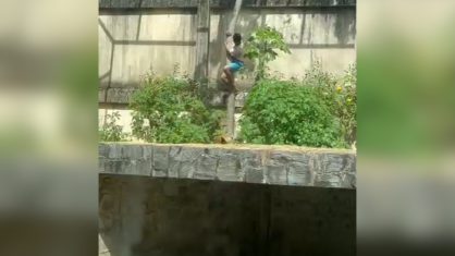 Ataque em zoológico leva ao fechamento temporário do parque.