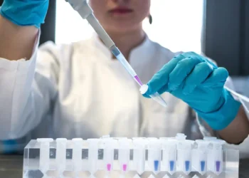 Pesquisa de Zimmer indica que astrócitos só reagem às proteínas do Alzheimer quando microglia está ativada.