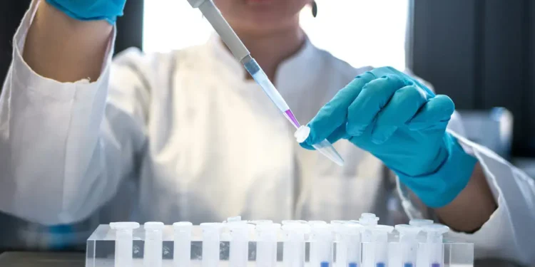 Pesquisa de Zimmer indica que astrócitos só reagem às proteínas do Alzheimer quando microglia está ativada.