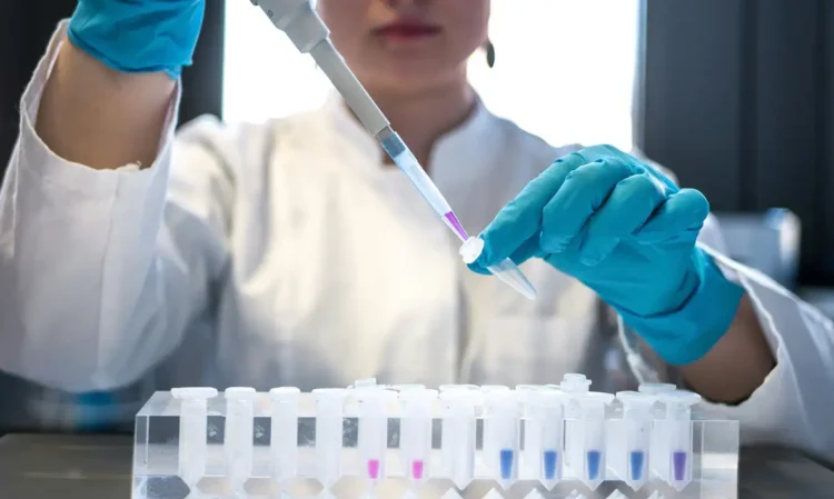 Pesquisa de Zimmer indica que astrócitos só reagem às proteínas do Alzheimer quando microglia está ativada.
