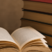 Acordo entre a Fundação Biblioteca Nacional e a Biblioteca da Palestina garante envio de livros brasileiros, ações de preservação e fortalecimento da diplomacia cultural.