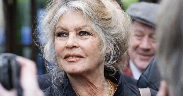 Atriz francesa relatou gravidez traumática e afastamento do filho em autobiografia.