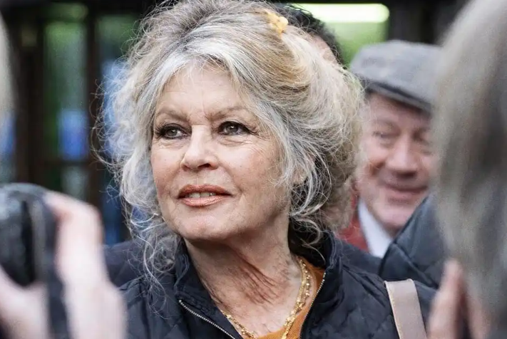 Atriz francesa relatou gravidez traumática e afastamento do filho em autobiografia.