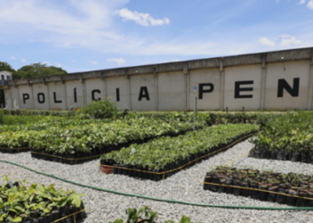 O programa socioambiental Replantando Vida, da Cedae, ganhou um importante reforço nesta quinta-feira (11) com a inauguração do viveiro florestal João Paulo Tinoco