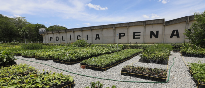 O programa socioambiental Replantando Vida, da Cedae, ganhou um importante reforço nesta quinta-feira (11) com a inauguração do viveiro florestal João Paulo Tinoco