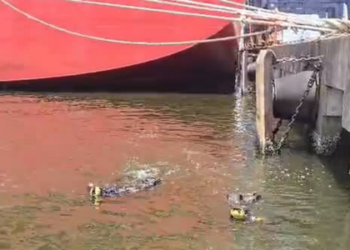 PF apreende cerca de 100 kg de cocaína escondidos no casco de navio no Porto de Santos