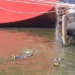 PF apreende cerca de 100 kg de cocaína escondidos no casco de navio no Porto de Santos