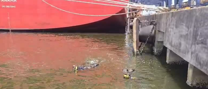 PF apreende cerca de 100 kg de cocaína escondidos no casco de navio no Porto de Santos