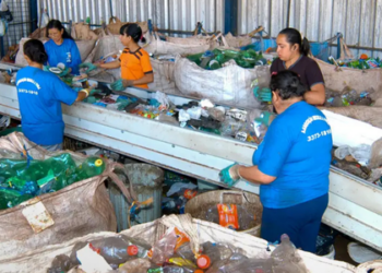 Pesquisa mostra impacto dos plásticos rejeitados na renda de catadores fluminenses
