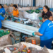 Pesquisa mostra impacto dos plásticos rejeitados na renda de catadores fluminenses