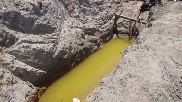 Manejo irregular da Lagoa Feia agrava seca e mobiliza produtores na Baixada Campista