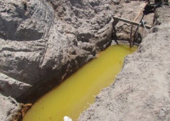 Manejo irregular da Lagoa Feia agrava seca e mobiliza produtores na Baixada Campista