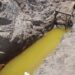 Manejo irregular da Lagoa Feia agrava seca e mobiliza produtores na Baixada Campista