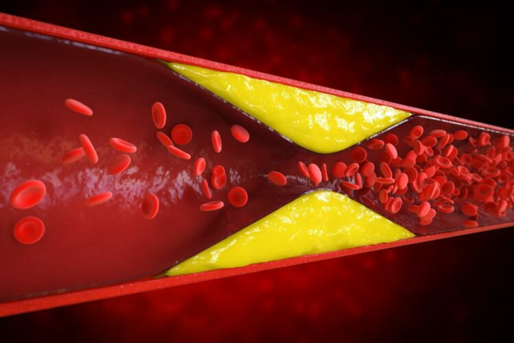 Prevenção cardiovascular com mudanças simples no dia a dia.