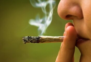 Dados do Terceiro Levantamento Nacional de Álcool e Drogas mostram avanço do consumo de cannabis e novos desafios para prevenção.