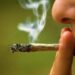 Dados do Terceiro Levantamento Nacional de Álcool e Drogas mostram avanço do consumo de cannabis e novos desafios para prevenção.