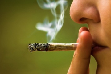 Dados do Terceiro Levantamento Nacional de Álcool e Drogas mostram avanço do consumo de cannabis e novos desafios para prevenção.