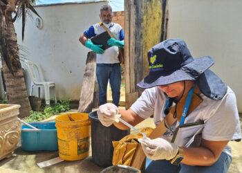 Vigilância Ambiental intensifica ações de combate aos mosquitos em Macaé entre 5 e 9 de janeiro, com fumacê, fiscalização e controle vetorial em vários bairros.