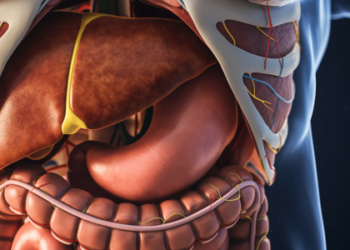 A esteatose hepática, ou acúmulo de gordura no fígado, pode ser controlada com alimentação rica em antioxidantes e anti-inflamatórios, associada à prática de exercícios e redução do consumo de álcool.