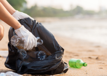 Prefeitura de São Francisco de Itabapoana reforça ações ambientais no verão com campanhas educativas, ecobags, lixeiras e medidas para preservar o litoral.