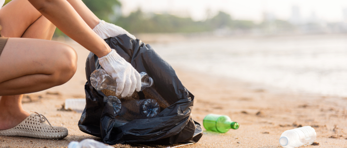 Prefeitura de São Francisco de Itabapoana reforça ações ambientais no verão com campanhas educativas, ecobags, lixeiras e medidas para preservar o litoral.