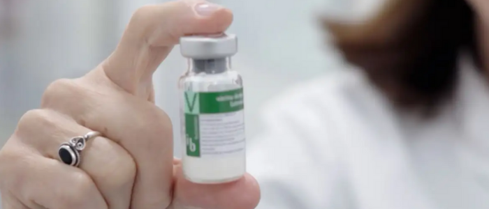 Governo inicia campanha com Butantan-DV, primeira vacina de dose única contra dengue