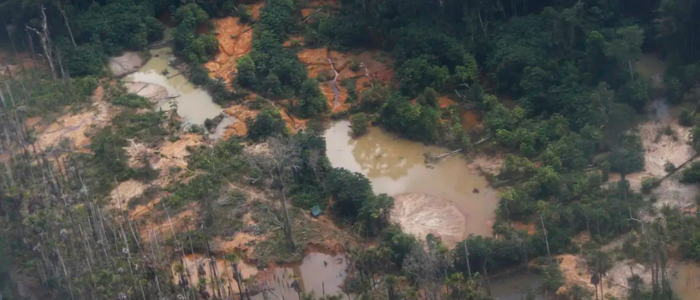 Edital Floresta Viva amplia prazo e reforça apoio a projetos indígenas