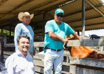 Prefeitura de Quissamã oferece assistência veterinária gratuita a criadores de bovinos e equinos, com foco na saúde animal e no fortalecimento da produção rural.