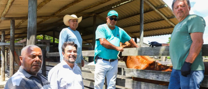 Prefeitura de Quissamã oferece assistência veterinária gratuita a criadores de bovinos e equinos, com foco na saúde animal e no fortalecimento da produção rural.
