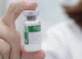 Butantan-DV: primeira vacina de dose única contra dengue é aplicada no Brasil