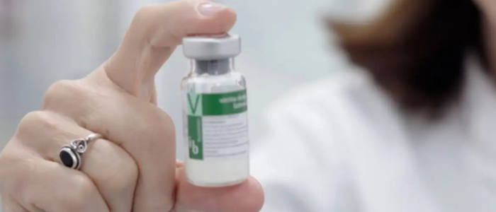 Butantan-DV: primeira vacina de dose única contra dengue é aplicada no Brasil
