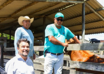 Quissamã oferece atendimento veterinário gratuito para bovinos e equinos, incluindo vacinação e acompanhamento clínico, fortalecendo a saúde animal e o setor agropecuário.